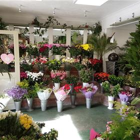 fwthumb20170325_085229 copyb.jpg